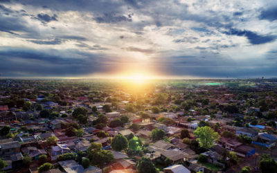 Weekly Newsletter 22nd December