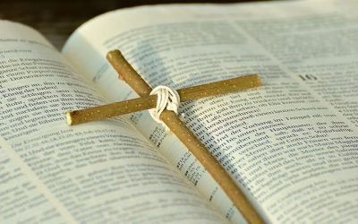 Newsletter February 23rd