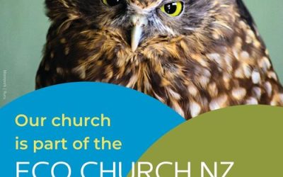 Newsletter 4th August
