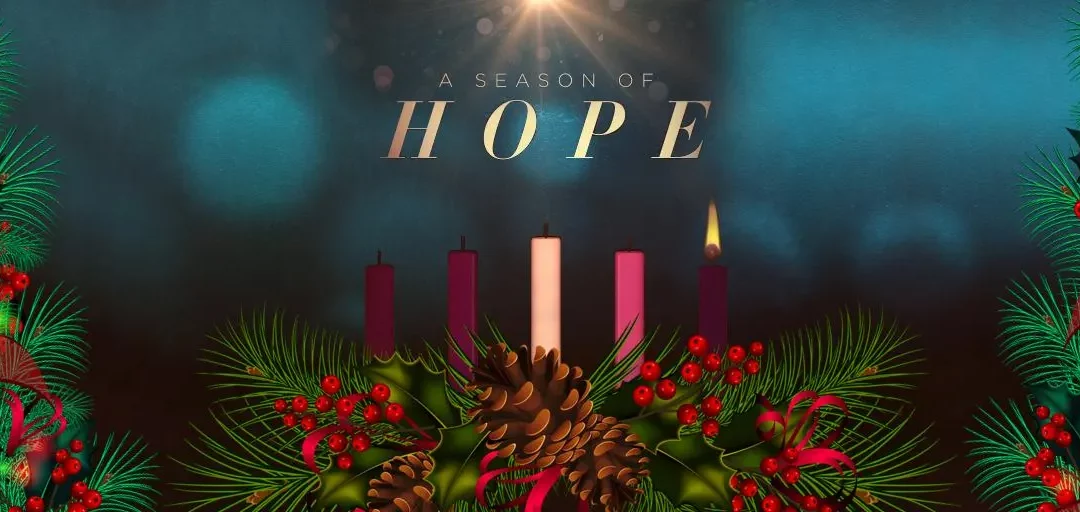 Newsletter December 1st
