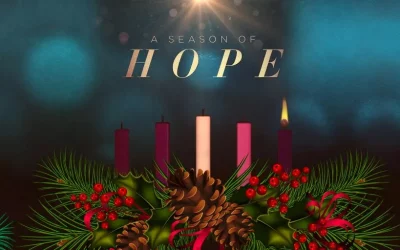 Newsletter December 1st