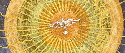 Newsletter 23rd November