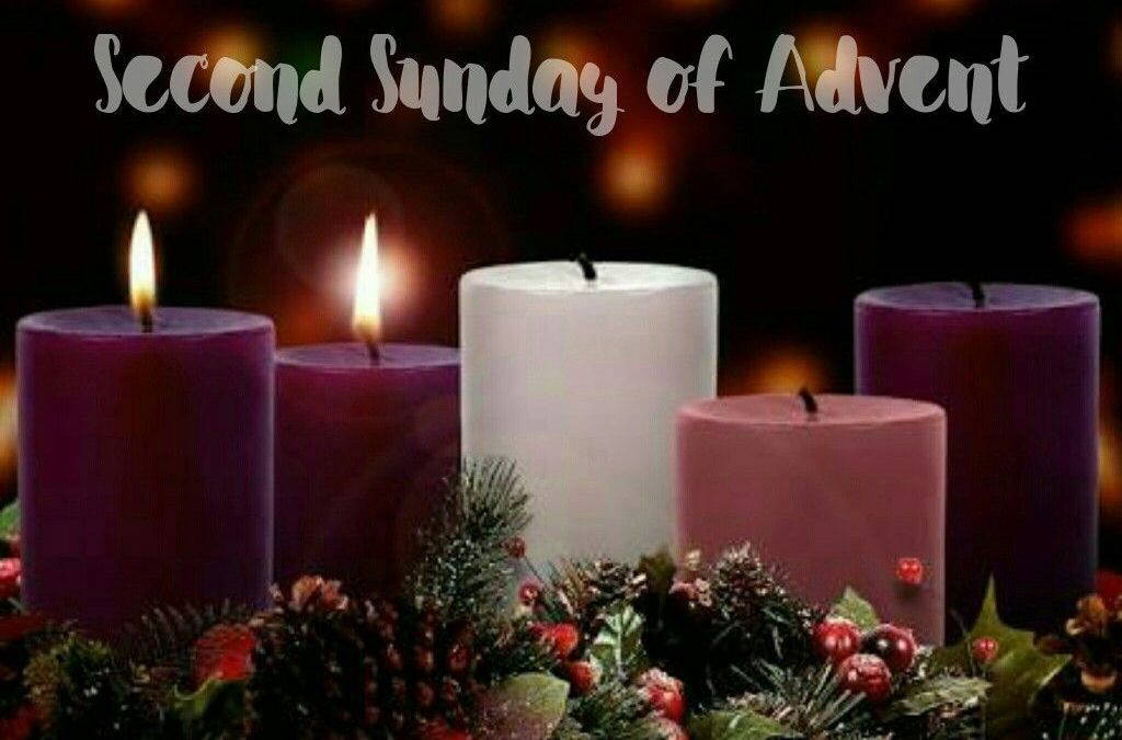 Newsletter 7th December