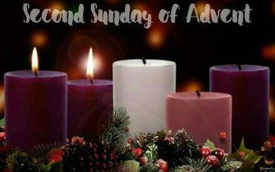 Newsletter 7th December