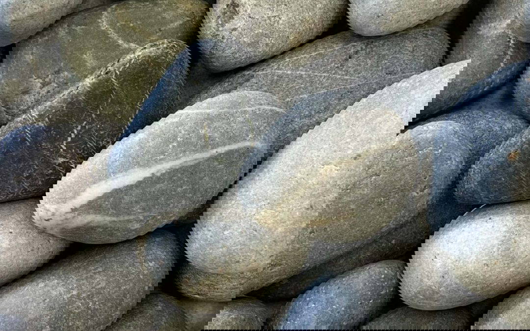 Newsletter March 8th