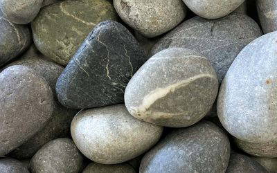 Newsletter March 8th